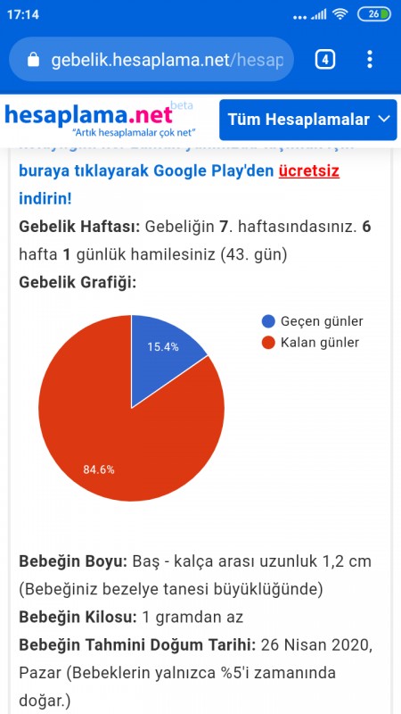 Hafta Hafta Gebelik Gelisimi 6 Haftalik Gebelik Donemi Canbebe Blog