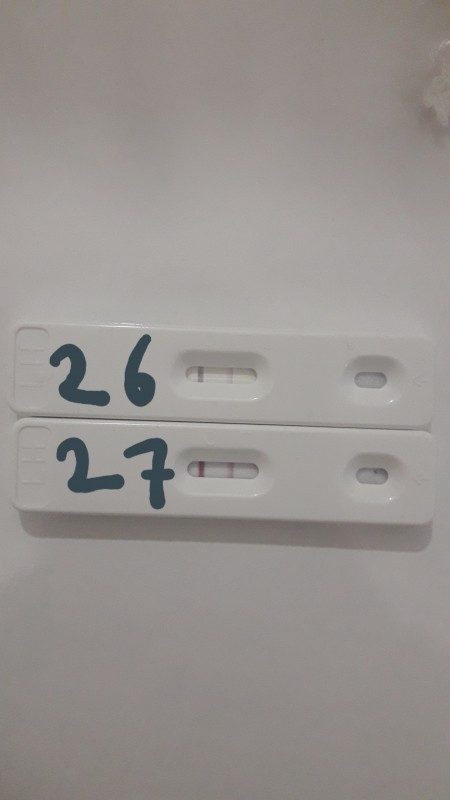Kizlar Gebelik Testi Resimli Bakar Misiniz Hamilelikte Testler