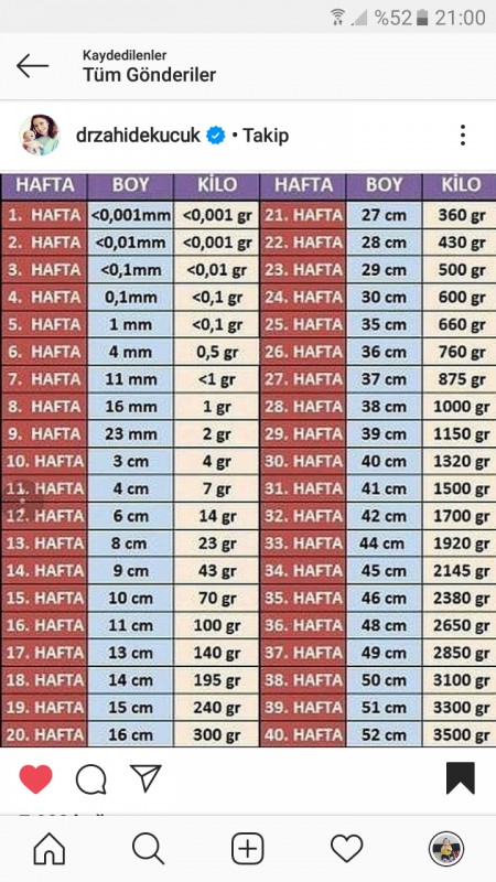 31 haftalik gebelikte bebek kilosu 1855 normalmi hamilelik donemi genel