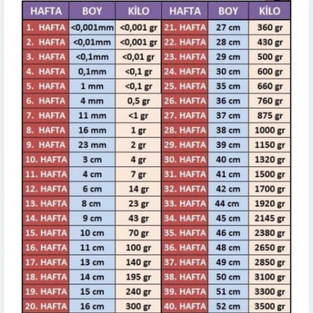 carsamba on yuva 22 haftalik bebek agirligi sudecicekcilik net