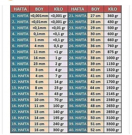 okuyamiyor veya yazamiyorum pilot kutlama 21 haftalik gebelikte bebegin boy ve kilosu sudecicekcilik net