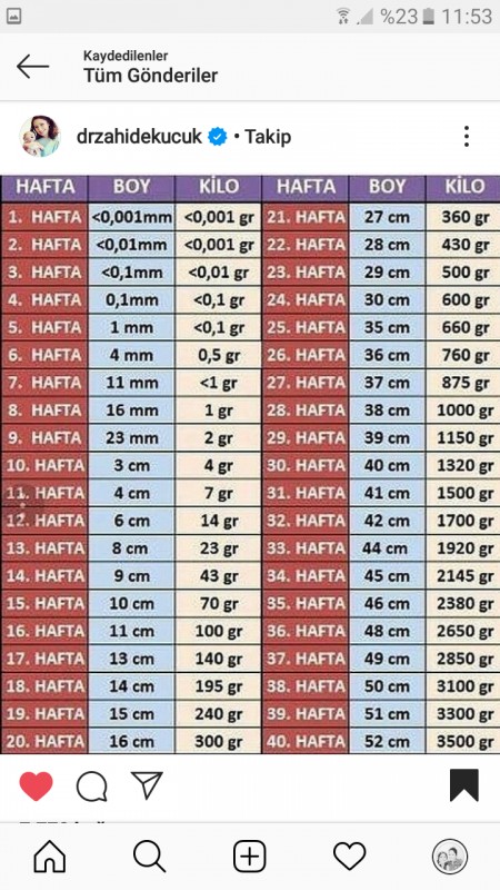 yuksek lisans ek dosya telefona cevap ver 29 haftalik bebek kilosu boyu canakkalebattalbey com