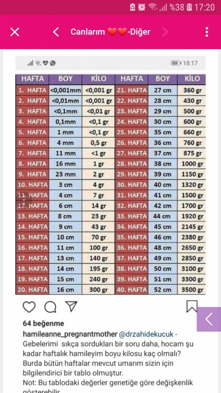 34 Hafta Bebek Kilosu Hamilelikte Bebek Sagligi